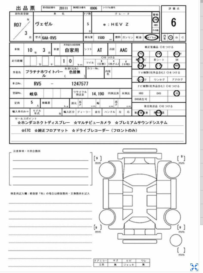Option Certificate